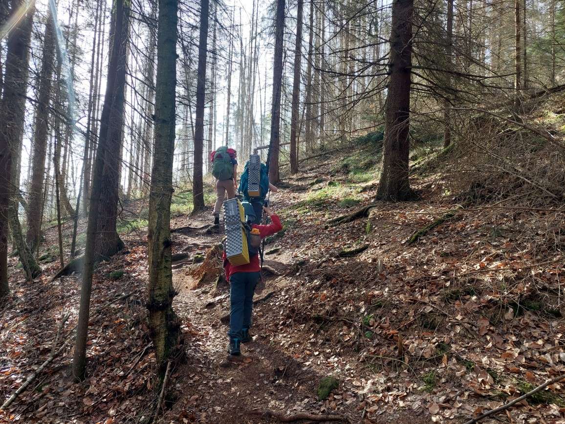 Wanderer auf einem Pfad im Wald